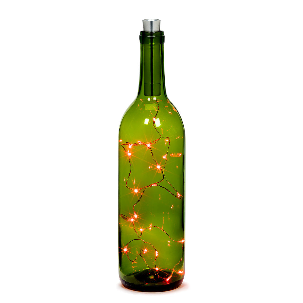 Firefly bottle lights