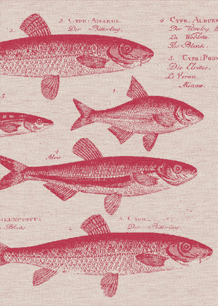 TEA TOWEL- SCHOOL OF FISH